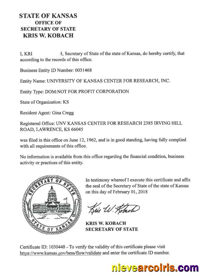 USA Kansas certificate of good standing